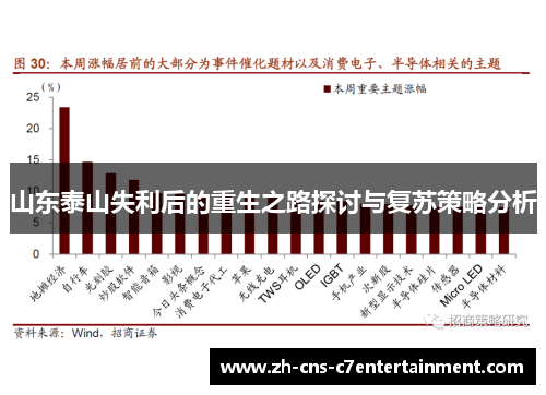 山东泰山失利后的重生之路探讨与复苏策略分析