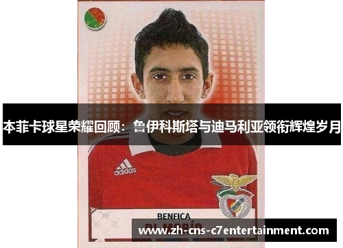 本菲卡球星荣耀回顾：鲁伊科斯塔与迪马利亚领衔辉煌岁月