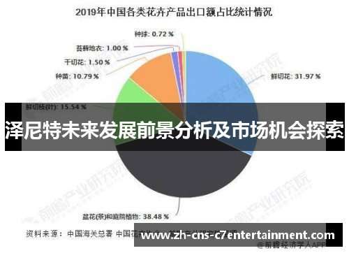 泽尼特未来发展前景分析及市场机会探索